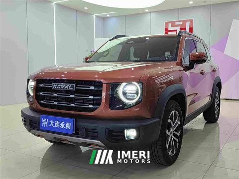 2021 Great Wall Dachshund 1.5T DCT Two-Wheel Drive Border Collie Edition - ავტომობილი ჩინეთიდან