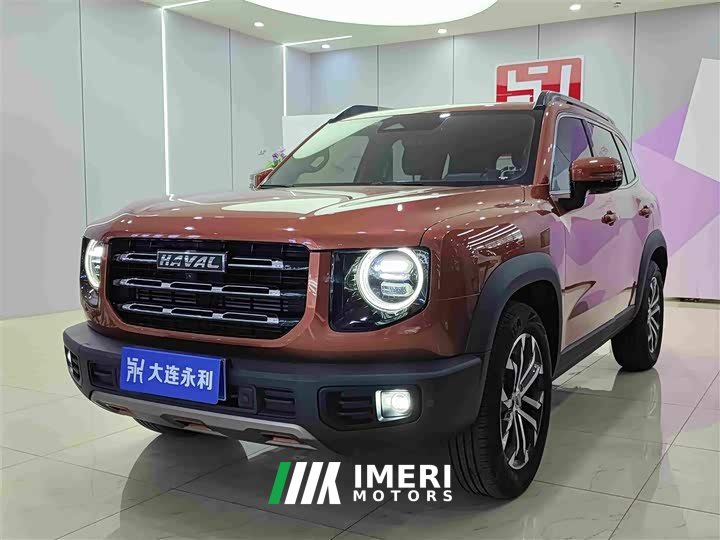 Great Wall Dachshund 1.5T DCT Two-Wheel Drive Border Collie Edition