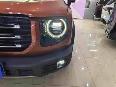 Great Wall Dachshund 1.5T DCT Two-Wheel Drive Border Collie Edition - ფოტო 11