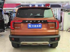 Great Wall Dachshund 1.5T DCT Two-Wheel Drive Border Collie Edition - ფოტო 15