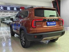 Great Wall Dachshund 1.5T DCT Two-Wheel Drive Border Collie Edition - ფოტო 16