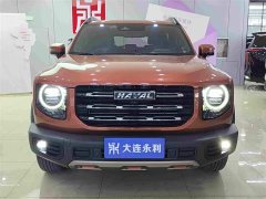 Great Wall Dachshund 1.5T DCT Two-Wheel Drive Border Collie Edition - ფოტო 2
