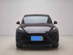 Tesla Model Y Rear-Wheel Drive - ფოტო 1