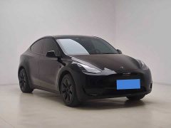 Tesla Model Y Rear-Wheel Drive - ფოტო 2