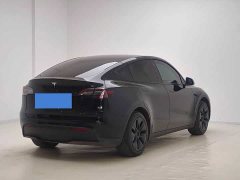 Tesla Model Y Rear-Wheel Drive - ფოტო 3