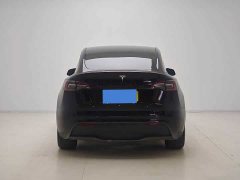 Tesla Model Y Rear-Wheel Drive - ფოტო 4