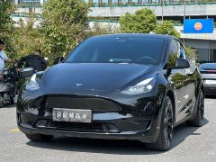 Tesla Model Y Rear-Wheel Drive - ფოტო 1