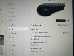 Tesla Model Y Rear-Wheel Drive - ფოტო 12