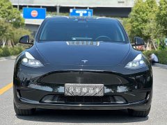 Tesla Model Y Rear-Wheel Drive - ფოტო 2
