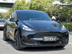 Tesla Model Y Rear-Wheel Drive - ფოტო 3