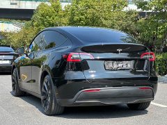 Tesla Model Y Rear-Wheel Drive - ფოტო 6
