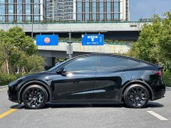 Tesla Model Y Rear-Wheel Drive - ფოტო 7