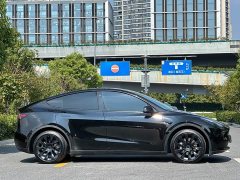 Tesla Model Y Rear-Wheel Drive - ფოტო 8