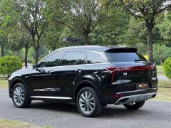 Nissan Raize 260T Star Enjoy Success Edition Pro - ფოტო 7