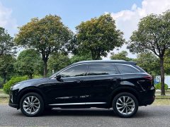 Nissan Raize 260T Star Enjoy Success Edition Pro - ფოტო 8