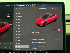 Tesla Model Y Performance All-Wheel Drive - ფოტო 15