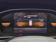 Volkswagen Magotan 2 Million Units Commemorative Edition 330TSI DSG Leading Version - ფოტო 18