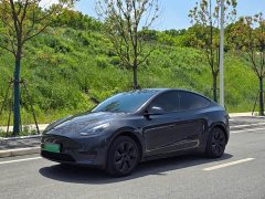 Tesla Model Y Rear-Wheel Drive - ფოტო 1