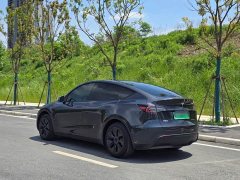Tesla Model Y Rear-Wheel Drive - ფოტო 10