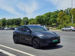 Tesla Model Y Rear-Wheel Drive - ფოტო 3