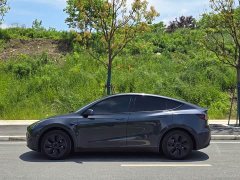 Tesla Model Y Rear-Wheel Drive - ფოტო 4
