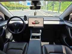 Tesla Model Y Rear-Wheel Drive - ფოტო 6