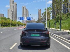 Tesla Model Y Rear-Wheel Drive - ფოტო 9