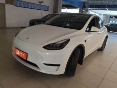 Tesla Model Y Rear-Wheel Drive - ფოტო 1