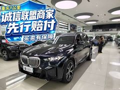 BMW X5 2023 xDrive 30Li M Sport Premium Package - ფოტო 1