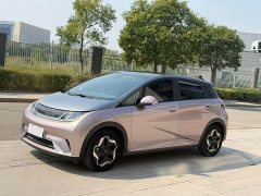 BYD Dolphin 405km Fashion Edition - ფოტო 1
