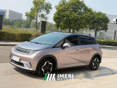 2022 BYD Dolphin 405km Fashion Edition - ავტომობილი ჩინეთიდან