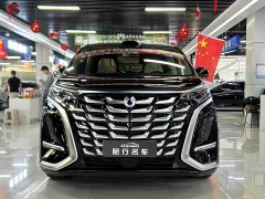 Denza BYD Denza D9 DM-i Smart Drive 1020 AWD Premium - ფოტო 2