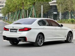 BMW 5 Series 530Li Premier M Sport Package - ფოტო 9