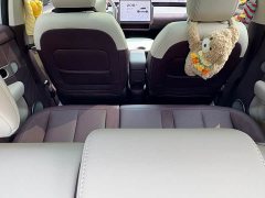 Nio Firefly Luminous Edition - ფოტო 11