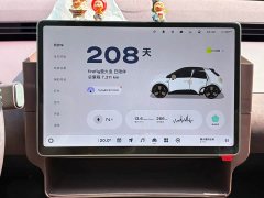 Nio Firefly Luminous Edition - ფოტო 15