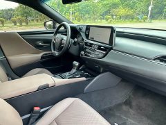 Lexus ES 300h Excellence Edition - ფოტო 16