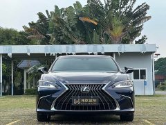 Lexus ES 300h Excellence Edition - ფოტო 2