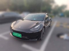 Tesla Model 3 Facelift Standard Range RWD Upgrade 3D1 - ფოტო 1