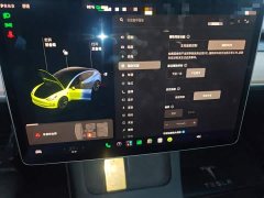 Tesla Model 3 Facelift Standard Range RWD Upgrade 3D1 - ფოტო 20