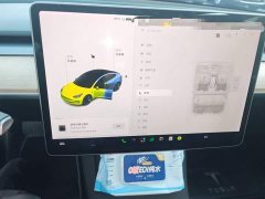 Tesla Model 3 Facelift Standard Range RWD Upgrade 3D1 - ფოტო 9