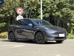 Tesla Model Y Rear-Wheel Drive - ფოტო 2