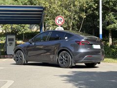 Tesla Model Y Rear-Wheel Drive - ფოტო 5