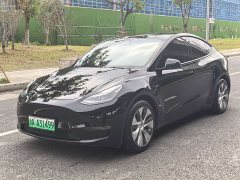 Tesla Model Y 2021 Standard Range RWD - ფოტო 1