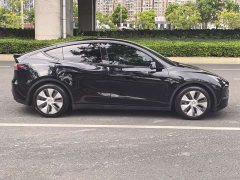 Tesla Model Y 2021 Standard Range RWD - ფოტო 9