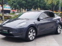 Tesla Model Y Facelift Long Range All-Wheel Drive - ფოტო 1