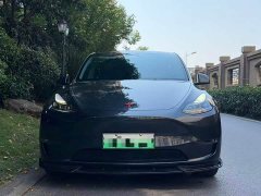 Tesla Model Y Long Range All-Wheel Drive - ფოტო 1