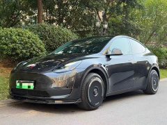 Tesla Model Y Long Range All-Wheel Drive - ფოტო 2
