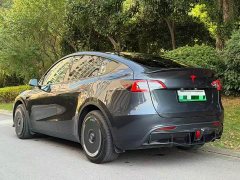 Tesla Model Y Long Range All-Wheel Drive - ფოტო 4