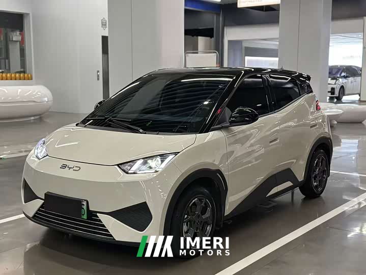 BYD Seagull 2025 Smart Drive 305km Vitality Edition - ავტომობილი ჩინეთიდან