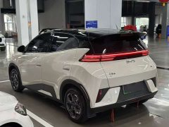 BYD Seagull 2025 Smart Drive 305km Vitality Edition - ფოტო 10